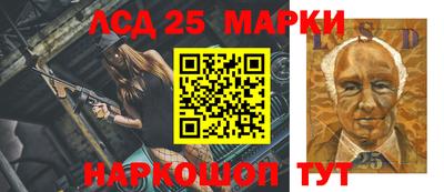 молекула духа Шелехов