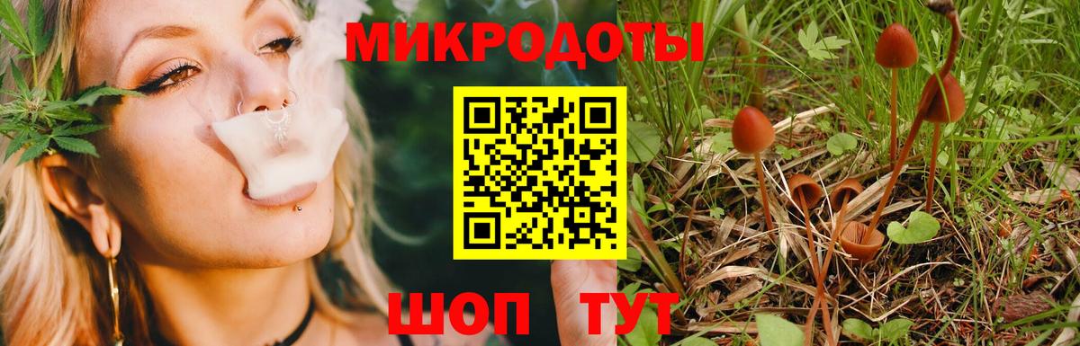 Псилоцибиновые грибы Psilocybe  Вход с VPN  Лангепас 