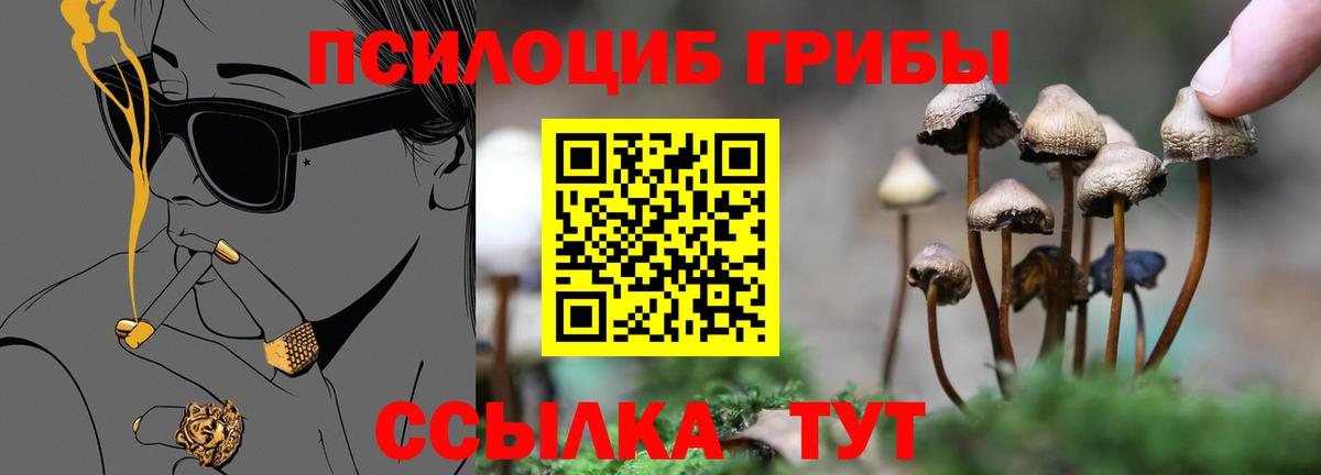 Псилоцибиновые грибы мицелий Лангепас